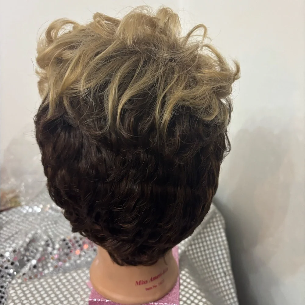 Stylish Blonde and Brown Wig - Picture 3 of 5